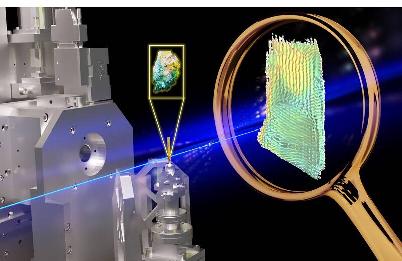 3D vector field of the collagen direction and degree of orientation obtained by SAXS-Tensor-Tomography (Picture: DESY)